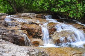 Gunung Bujang Melaka