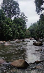 Hutan Lipur Ulu Kinta