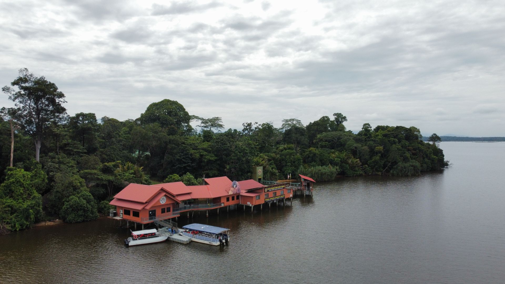 Orang Utan Island